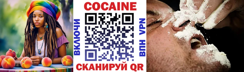 наркота  Болохово  Кокаин Fish Scale 