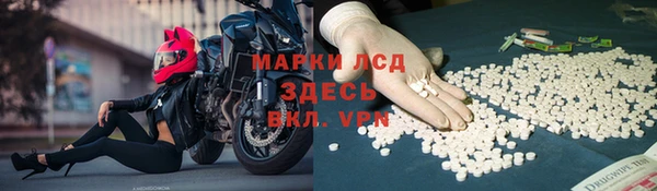 мяу мяу мука Белокуриха