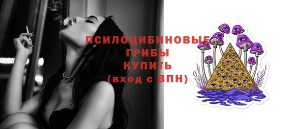 винт Богданович