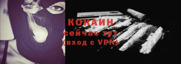 тгк Богородицк