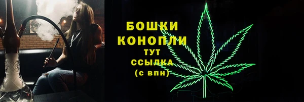 мяу мяу мука Белокуриха