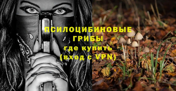 первитин Бежецк